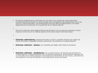    El sistema longitudinal es reforzado por una serie muy variable de vasos tributarios
    transversales que penetran al canal medular por los agujeros intervertebrales junto a los
    nervios y raíces espinales. Las anastomosis entre los vasos longitudinales y los vasos
    segmentarios se producen en la superficie de la médula espinal.


    De los 31 pares de vasos segmentarios que penetran con los nervios raquídeos, la gran
    mayoría no termina en la médula espinal. Entre ellos existen diferentes tipos:

    

   Arterias radiculares propiamente tales: es decir, aquellas arterias que irrigan las
    raíces nerviosas y el ganglio sensitivo solamente. No alcanzan la médula espinal.

   Arterias radículo - piales : son aquellas que llegan sólo hasta la piamadre.

    

   Arterias radículo - medulares:  son un grupo de 8 a 10 arterias que alcanzan la
    médula espinal, anastomosándose con el sistema longitudinal. Generalmente ingresan por
    un solo lado de la médula espinal y frecuentemente se dividen en dos ramas, una anterior y
    otra posterior, las que acompañan a las respectivas raíces nerviosas.
 