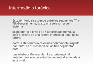 Intermedio o torácica

 Este territorio se extiende entre los segmentos T4 y
 T8. Generalmente, existe una sola rama del
 sistema
 segmentario a nivel de T7 aproximadamente, la
 cual proviene de una arteria intercostal rama de la
 arteria
 aorta. Este territorio es el más pobremente irrigado,
 por tanto, es el más lábil de los tres segmentos
 ante
 una obstrucci6n vascular. La arteria espinal
 anterior puede estar extremadamente disminuida a
 este nivel.
 