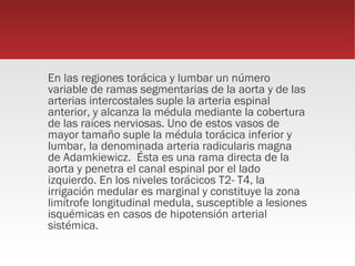 En las regiones torácica y lumbar un número
variable de ramas segmentarias de la aorta y de las
arterias intercostales suple la arteria espinal
anterior, y alcanza la médula mediante la cobertura
de las raíces nerviosas. Uno de estos vasos de
mayor tamaño suple la médula torácica inferior y
lumbar, la denominada arteria radicularis magna
de Adamkiewicz. Ésta es una rama directa de la
aorta y penetra el canal espinal por el lado
izquierdo. En los niveles torácicos T2- T4, la
irrigación medular es marginal y constituye la zona
limítrofe longitudinal medula, susceptible a lesiones
isquémicas en casos de hipotensión arterial
sistémica.
 