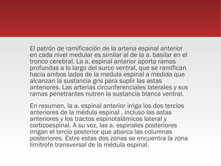 El patrón de ramificación de la arteria espinal anterior
en cada nivel medular es similar al de la a. basilar en el
tronco cerebral. La a. espinal anterior aporta ramas
profundas a lo largo del surco ventral, que se ramifican
hacia ambos lados de la medula espinal a medida que
alcanzan la sustancia gris para suplir las astas
anteriores. Las arterias circunferenciales laterales y sus
ramas penetrantes nutren la sustancia blanca ventral.
En resumen, la a. espinal anterior irriga los dos tercios
anteriores de la médula espinal , incluso las astas
anteriores y los tractos espinotalámicos lateral y
corticoespinal. A su vez, las a. espinales posteriores
irrigan el tercio posterior que abarca las columnas
posteriores. Estre estas dos zonas se encuentra la zona
limítrofe transversal de la médula espinal.
 