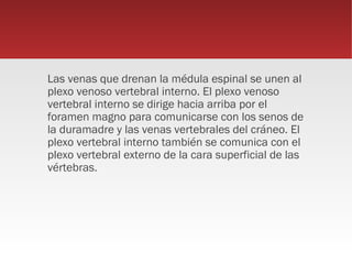 Las venas que drenan la médula espinal se unen al
plexo venoso vertebral interno. El plexo venoso
vertebral interno se dirige hacia arriba por el
foramen magno para comunicarse con los senos de
la duramadre y las venas vertebrales del cráneo. El
plexo vertebral interno también se comunica con el
plexo vertebral externo de la cara superficial de las
vértebras.
 