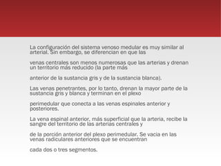 La configuración del sistema venoso medular es muy similar al
arterial. Sin embargo, se diferencian en que las
venas centrales son menos numerosas que las arterias y drenan
un territorio más reducido (la parte más
anterior de la sustancia gris y de la sustancia blanca).
Las venas penetrantes, por lo tanto, drenan la mayor parte de la
sustancia gris y blanca y terminan en el plexo
perimedular que conecta a las venas espinales anterior y
posteriores.
La vena espinal anterior, más superficial que la arteria, recibe la
sangre del territorio de las arterias centrales y
de la porción anterior del plexo perimedular. Se vacia en las
venas radiculares anteriores que se encuentran
cada dos o tres segmentos.
 
