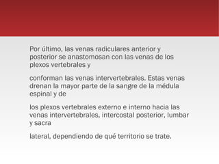 Por último, las venas radiculares anterior y
posterior se anastomosan con las venas de los
plexos vertebrales y
conforman las venas intervertebrales. Estas venas
drenan la mayor parte de la sangre de la médula
espinal y de
los plexos vertebrales externo e interno hacia las
venas intervertebrales, intercostal posterior, lumbar
y sacra
lateral, dependiendo de qué territorio se trate.
 