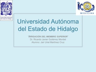 Universidad Autónoma
del Estado de Hidalgo
‘IRRIGACIÓN DEL MIEMBRO SUPERIOR’
Dr. Ricardo Javier Gutiérrez Montiel
Alumno: Jair Uriel Martínez Cruz
 