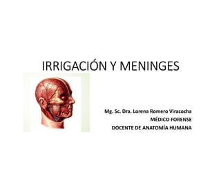 IRRIGACIÓN Y MENINGES
Mg. Sc. Dra. Lorena Romero Viracocha
MÉDICO FORENSE
DOCENTE DE ANATOMÍA HUMANA
 