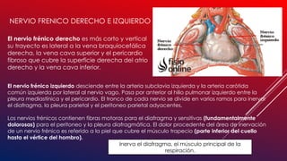 IRRIGACION, DRENAJE E INERVACION DEL TORAX.pptx