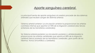 Aporte sanguíneo cerebral 
La principal fuente de aporte sanguíneo al cerebro procede de dos sistemas 
arteriales que reciben sangre de distintas arterias: 
Sistema arterial anterior: La circulación anterior la proporcionan las arterias 
carótidas internas que aportan el 70% de la irrigación cerebral (dos tercios 
anteriores de los hemisferios cerebrales). 
b) Sistema arterial posterior: La circulación posterior o vértebrobasilar la 
proporcionan las arterias vertebrales que aporta el 30% de la irrigación 
cerebral (tercio posterior de los hemisferios cerebrales, gran parte de los 
tálamos, tronco encefálico y cerebelo). 
 