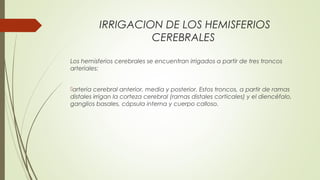 IRRIGACION DE LOS HEMISFERIOS 
CEREBRALES 
Los hemisferios cerebrales se encuentran irrigados a partir de tres troncos 
arteriales: 
arteria cerebral anterior, media y posterior. Estos troncos, a partir de ramas 
distales irrigan la corteza cerebral (ramas distales corticales) y el diencéfalo, 
ganglios basales, cápsula interna y cuerpo calloso. 
 