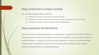 Riego Arterial de la Corteza Cerebral 
Su Aporte proviene de las arterias: 
a) Cerebrales Anterior, rama de la carótida interna. 
b) Cerebrales Media, continuación de la rama principal de la carótida interna. 
c) Cerebrales Posterior, rama terminal de la arteria basilar. 
Riego sanguíneo del Hipotálamo 
El aporte de las regiones preoptica y supraoptica y la parte rostral del hipotálamo 
lateral proviene de las ramas performantes de las arterias comunicantes anterior y 
cerebral inferior. La irrigación de la porción tuberosa y mamilar y la parte media y 
posterior del hipotálamo provienen de las ramas performantes de las arterias 
comunicantes posterior y cerebral posterior. 
 