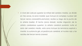  A nivel del coliculo superior (a mitad del cerebro medio), se divide 
en tres zonas, la zona medial, que incluye el complejo nuclear del 
tercer nervio craneal(Oculomotor), recibe su riego de la punta de 
la arteria basilar. El techo (zona dorsal), recibe irrigación de la 
arteria cerebelosa superior; la arteria cerebral posterior nutre el 
resto del cerebro medio, esta zona incluye los lemniscos espinal y 
medial, la sustancia gris, el pedúnculo cerebral, el nucleo rojo y las 
raicillas del tercer nervio craneal. 
 