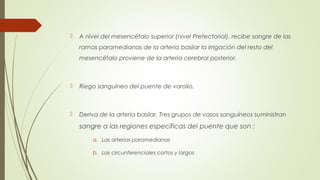  A nivel del mesencéfalo superior (nivel Pretectorial), recibe sangre de las 
ramas paramedianas de la arteria basilar la irrigación del resto del 
mesencéfalo proviene de la arteria cerebral posterior. 
 Riego sanguíneo del puente de varolio. 
 Deriva de la arteria basilar. Tres grupos de vasos sanguíneos suministran 
sangre a las regiones específicas del puente que son : 
a. Las arterias paramedianas 
b. Las circunferenciales cortos y largos 
 