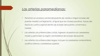 Las arterias paramedianas: 
 Penetran en el plano ventral del puente de varolio e irrigan la base del 
puente medial y el tegmento, al igual que los núcleos pontinos, haces del 
fascículo cortico espinal dentro de la base del puente y el lemnisco 
medial. 
 Las arterias circunferenciales cortas: ingresan al pedúnculo cerebeloso 
medio y perfunden la región ventrolateral de la base del puente. 
 Las arterias circunferenciales largas: incluyen la cerebelosa anteroinferior, 
auditiva interna y cerebelosa superior. 
 
