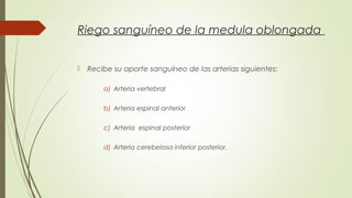 Riego sanguíneo de la medula oblongada 
 Recibe su aporte sanguíneo de las arterias siguientes: 
a) Arteria vertebral 
b) Arteria espinal anterior 
c) Arteria espinal posterior 
d) Arteria cerebelosa inferior posterior. 
 