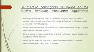 La medula oblongada se divide en los 
cuatro territorios vasculares siguientes: 
 Paramediano: recibe irrigación de las arterias vertebral, espinal anterior o 
ambas, incluye la pirámide, el lemnisco medial, el fascículo longitudinal medial 
y el nucleo y nervio hipogloso. 
 Olivar: tiene una perfusión inconstante de la arteria vertebral e incluye la mayor 
parte del complejo olivar inferior. 
 Lateral: recibe un riego constante de la arteria vertebral y variable de la arteria 
cerebelosa inferior posterior. 
 Dorsal: recibe irrigación rostral de la arteria cerebelosa inferior posterior y la 
parte caudal de la arteria espinal posterior. 
 