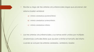  Recibe su riego de tres arterias circunferenciales largas que provienen del 
sistema basilar vertebral: 
a) Arteria cerebelosa posteroinferior. 
b) Arteria cerebelosa anteroinferior. 
c) Arteria cerebelosa inferior. 
 Las tres arterias circunferenciales y sus ramas están unidas por múltiples 
anastomosis corticales libres que ayudan a limitar el tamaño del infarto 
cuando se ocluyen las arterias cerebelos, vertebral y basilar. 
 