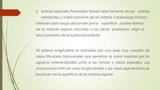 2. Arterias espinales Posteriores: Nacen directamente de las arterias 
vertebrales o indirectamente de las Arterias Cerebelosas Postero-inferiores 
para luego descender por la superficie postero-lateral 
de la médula espinal cercanas a las raíces posteriores. Irriga el 
tercio posterior de la sustancia medular. 
El sistema longitudinal es reforzado por una serie muy variable de 
vasos tributarios transversales que penetran al canal medular por los 
agujeros intervertebrales junto a los nervios y raíces espinales. Las 
anastomosis entre los vasos longitudinales y los vasos segmentarios se 
producen en la superficie de la médula espinal. 
 