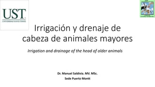 Irrigación y drenaje de
cabeza de animales mayores
Dr. Manuel Saldivia. MV. MSc.
Sede Puerto Montt
Irrigation and drainage of the head of older animals
 
