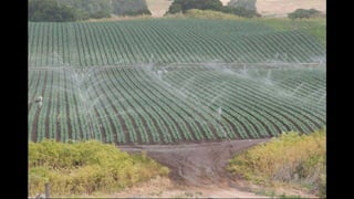Types and methods of irrigation system with its suitability | PPTX