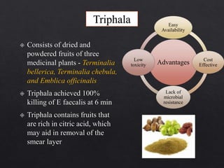 Triphala
Advantages
Easy
Availability
Cost
Effective
Lack of
microbial
resistance
Low
toxicity
 