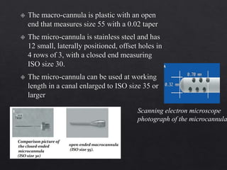 Scanning electron microscope
photograph of the microcannula
 