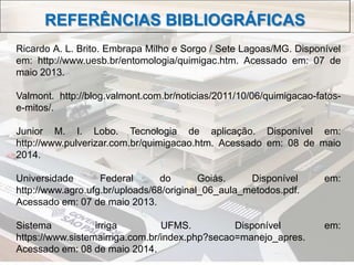 REFERÊNCIAS BIBLIOGRÁFICAS
Ricardo A. L. Brito. Embrapa Milho e Sorgo / Sete Lagoas/MG. Disponível
em: http://www.uesb.br/entomologia/quimigac.htm. Acessado em: 07 de
maio 2013.
Valmont. http://blog.valmont.com.br/noticias/2011/10/06/quimigacao-fatos-
e-mitos/.
Junior M. I. Lobo. Tecnologia de aplicação. Disponível em:
http://www.pulverizar.com.br/quimigacao.htm. Acessado em: 08 de maio
2014.
Universidade Federal do Goiás. Disponível em:
http://www.agro.ufg.br/uploads/68/original_06_aula_metodos.pdf.
Acessado em: 07 de maio 2013.
Sistema irriga UFMS. Disponível em:
https://www.sistemairriga.com.br/index.php?secao=manejo_apres.
Acessado em: 08 de maio 2014.
 