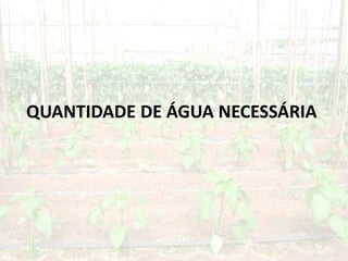 QUANTIDADE DE ÁGUA NECESSÁRIA
 