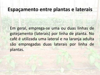 Espaçamento entre plantas e laterais
Em geral, emprega-se uma ou duas linhas de
gotejamento (laterais) por linha de planta. No
café é utilizada uma lateral e na laranja adulta
são empregadas duas laterais por linha de
plantas.
 