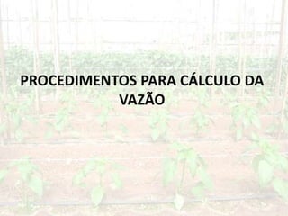 PROCEDIMENTOS PARA CÁLCULO DA
VAZÃO
 