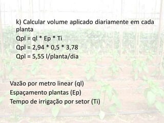 k) Calcular volume aplicado diariamente em cada
planta
Qpl = ql * Ep * Ti
Qpl = 2,94 * 0,5 * 3,78
Qpl = 5,55 l/planta/dia
Vazão por metro linear (ql)
Espaçamento plantas (Ep)
Tempo de irrigação por setor (Ti)
 