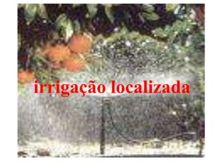 irrigação localizada 