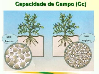 Capacidade de Campo (Cc)Capacidade de Campo (Cc)
Solo
Arenoso
Solo
Argiloso
 