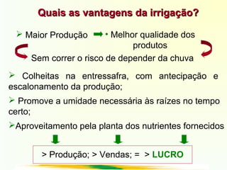  Promove a umidade necessária às raízes no tempo
certo;
Quais as vantagens da irrigação?Quais as vantagens da irrigação?
> Produção; > Vendas; = > LUCRO
 Maior Produção • Melhor qualidade dos
produtos
Sem correr o risco de depender da chuva
 Colheitas na entressafra, com antecipação e
escalonamento da produção;
Aproveitamento pela planta dos nutrientes fornecidos
 