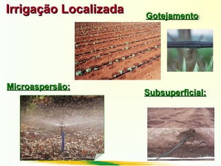 Irrigação LocalizadaIrrigação Localizada GotejamentoGotejamento:
Microaspersão:Microaspersão:
Subsuperficial:Subsuperficial:
 