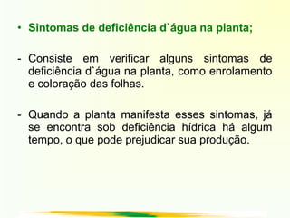 • Sintomas de deficiência d`água na planta;
- Consiste em verificar alguns sintomas de
deficiência d`água na planta, como enrolamento
e coloração das folhas.
- Quando a planta manifesta esses sintomas, já
se encontra sob deficiência hídrica há algum
tempo, o que pode prejudicar sua produção.
 