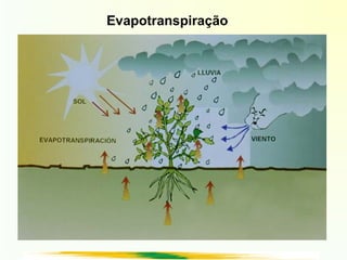Evapotranspiração
 
