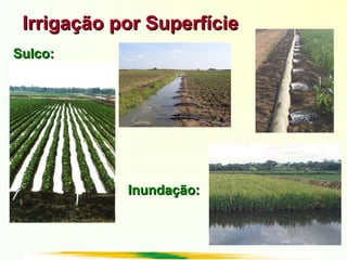 Irrigação por SuperfícieIrrigação por Superfície
Sulco:Sulco:
Inundação:Inundação:
 