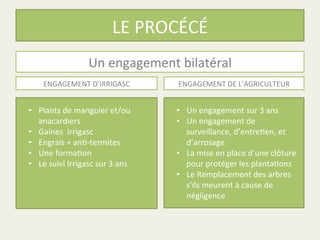 LE	
  PROCÉCÉ	
  
Un	
  engagement	
  bilatéral	
  
•  Un	
  engagement	
  sur	
  3	
  ans	
  
•  Un	
  engagement	
  de	
  
surveillance,	
  d’entre%en,	
  et	
  
d’arrosage	
  
•  La	
  mise	
  en	
  place	
  d’une	
  clôture	
  
pour	
  protéger	
  les	
  planta%ons	
  
•  Le	
  Remplacement	
  des	
  arbres	
  
s’ils	
  meurent	
  à	
  cause	
  de	
  
négligence	
  
•  Plants	
  de	
  manguier	
  et/ou	
  
anacardiers	
  
•  Gaines	
  	
  Irrigasc	
  
•  Engrais	
  +	
  an%-­‐termites	
  
•  Une	
  forma%on	
  
•  Le	
  suivi	
  Irrigasc	
  sur	
  3	
  ans	
  
ENGAGEMENT	
  D’IRRIGASC	
   ENGAGEMENT	
  DE	
  L’AGRICULTEUR	
  
 