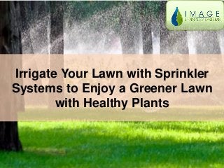 Irrigate Your Lawn with Sprinkler
Systems to Enjoy a Greener Lawn
with Healthy Plants
 