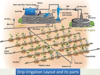 Drip Irrigation Layout and its parts  