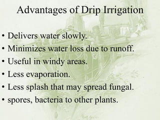 Advantages of Drip Irrigation 
•Delivers water slowly. 
•Minimizes water loss due to runoff. 
•Useful in windy areas. 
•Less evaporation. 
•Less splash that may spread fungal. 
•spores, bacteria to other plants.  