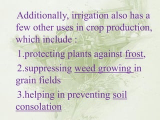 Additionally, irrigation also has a few other uses in crop production, which include : 
1.protecting plants against frost, 
2.suppressing weed growing in grain fields 
3.helping in preventing soil consolation  