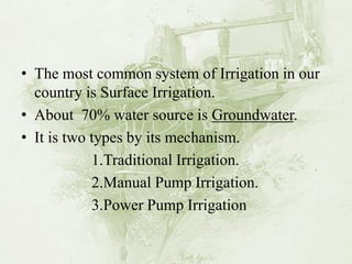 •The most common system of Irrigation in our country is Surface Irrigation. 
•About 70% water source is Groundwater. 
•It is two types by its mechanism. 
1.Traditional Irrigation. 
2.Manual Pump Irrigation. 
3.Power Pump Irrigation  