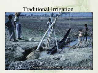 Traditional Irrigation.  