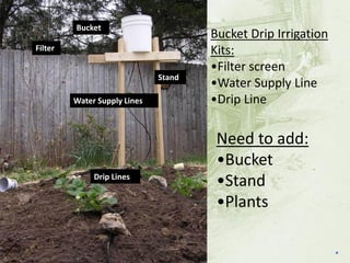 Bucket Drip Irrigation Kits: 
•Filter screen 
•Water Supply Line 
•Drip Line 
Bucket 
Water Supply Lines 
Filter 
Stand 
Drip Lines Need to add: 
•Bucket 
•Stand 
•Plants  