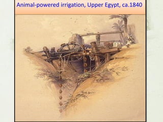Animal-powered irrigation, Upper Egypt, ca.1840 
 