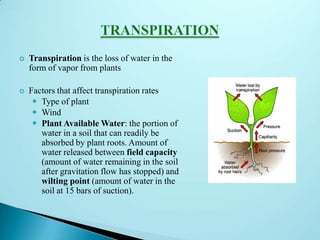  Transpiration is the loss of water in the
form of vapor from plants
 Factors that affect transpiration rates
 Type of plant
 Wind
 Plant Available Water: the portion of
water in a soil that can readily be
absorbed by plant roots. Amount of
water released between field capacity
(amount of water remaining in the soil
after gravitation flow has stopped) and
wilting point (amount of water in the
soil at 15 bars of suction).
 