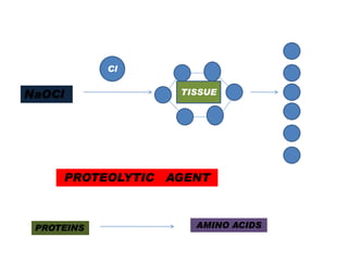 Cl

NaOCl

TISSUE

PROTEOLYTIC AGENT

PROTEINS

AMINO ACIDS

 