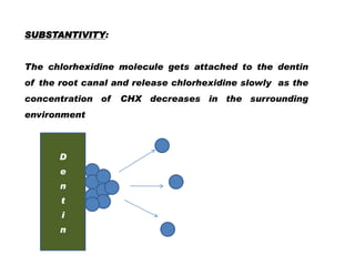 SUBSTANTIVITY:

The chlorhexidine molecule gets attached to the dentin
of the root canal and release chlorhexidine slowly as the
concentration of
environment

D
e
n
t
i

n

CHX decreases in the surrounding

 