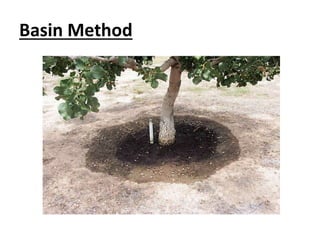 Basin Method 
 