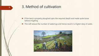3. Method of cultivation
 If the land is properly ploughed upto the required depth and made quite loose
before irrigating.
 This will reduce the number of waterings and hence result in a higher duty of water.
9
 